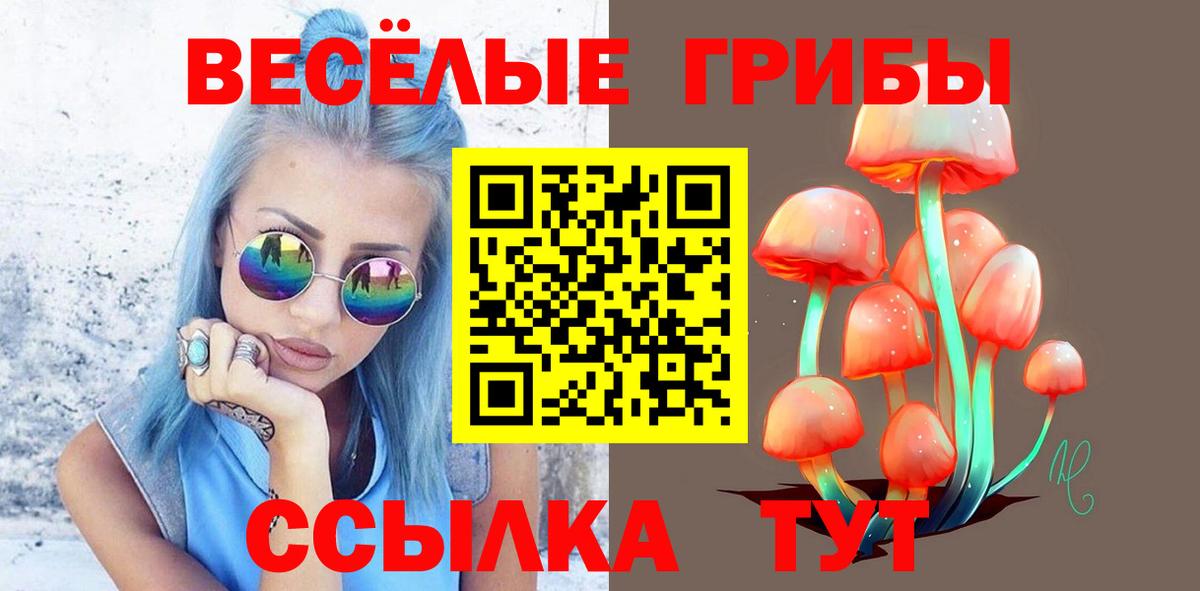 Псилоцибиновые грибы GOLDEN TEACHER  Галлюциногенные грибы мицелий  Котлас  Вход с VPN 