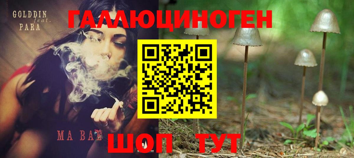 Галлюциногенные грибы MAGIC MUSHROOMS Котлас